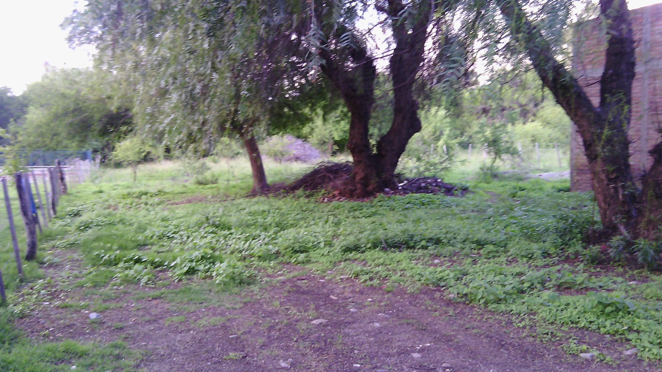 LOTE CÉNTRICO MERLO / Plano aprobados — foto 3