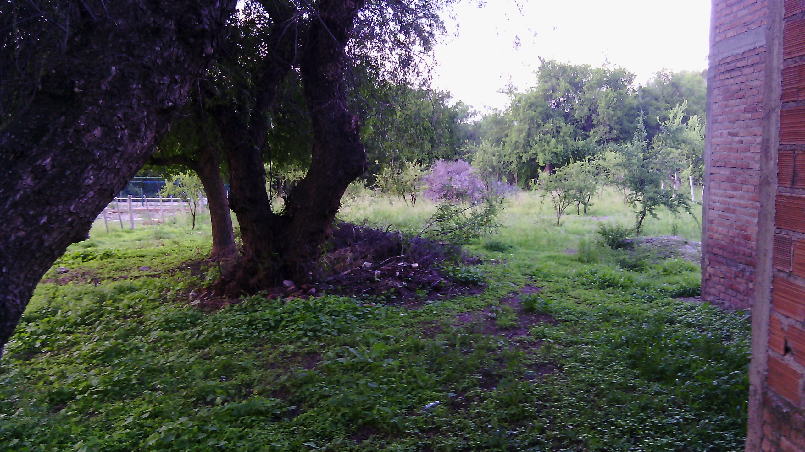 LOTE CÉNTRICO MERLO / Plano aprobados — foto 5