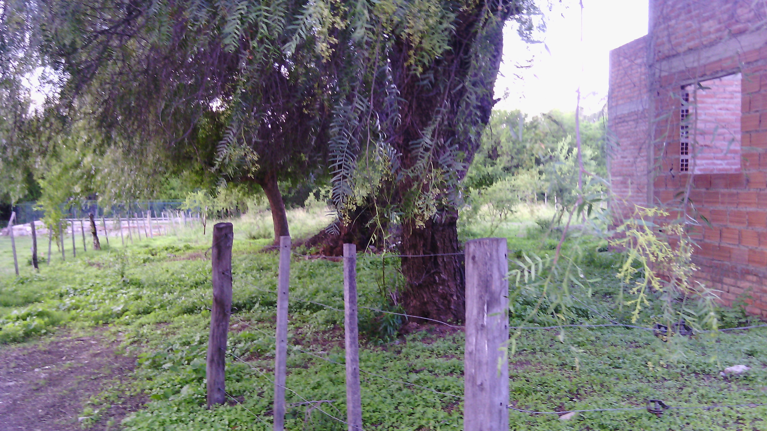 LOTE CÉNTRICO MERLO / Plano aprobados — foto 8