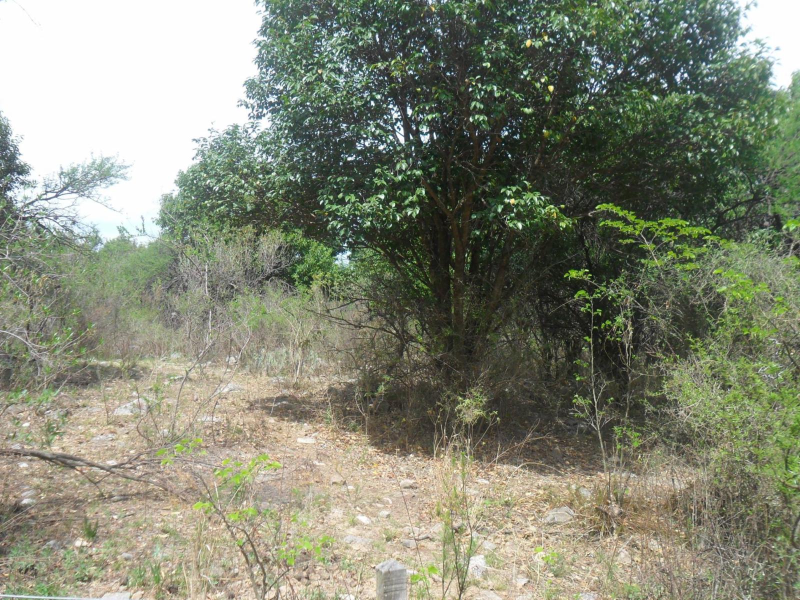 LOTE / 8000 m2 - Piedra Blanca Arriba / Merlo — foto 2