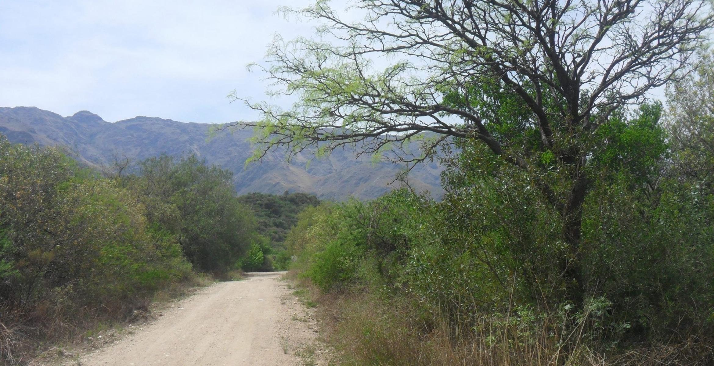 LOTE / 8000 m2 - Piedra Blanca Arriba / Merlo — foto 3