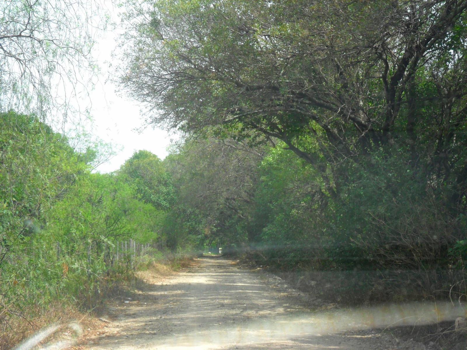 LOTE / 8000 m2 - Piedra Blanca Arriba / Merlo — foto 4