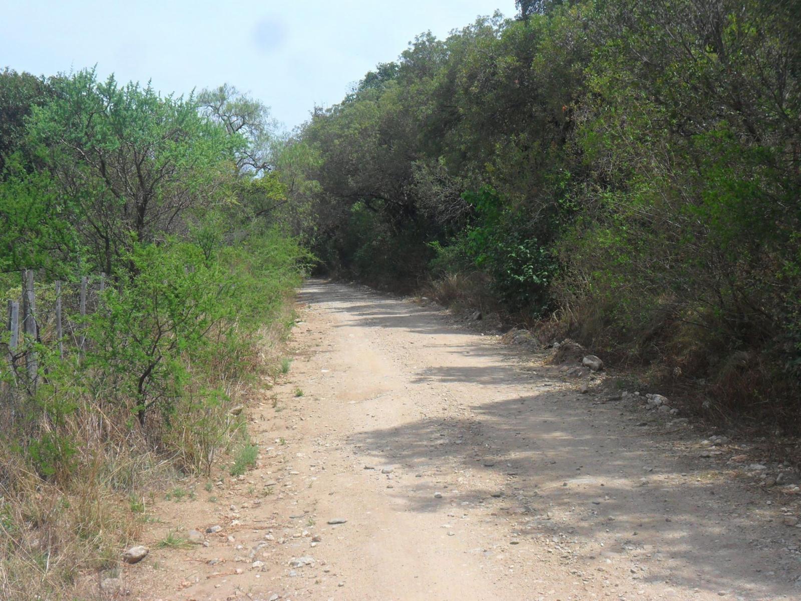 LOTE / 8000 m2 - Piedra Blanca Arriba / Merlo — foto 5