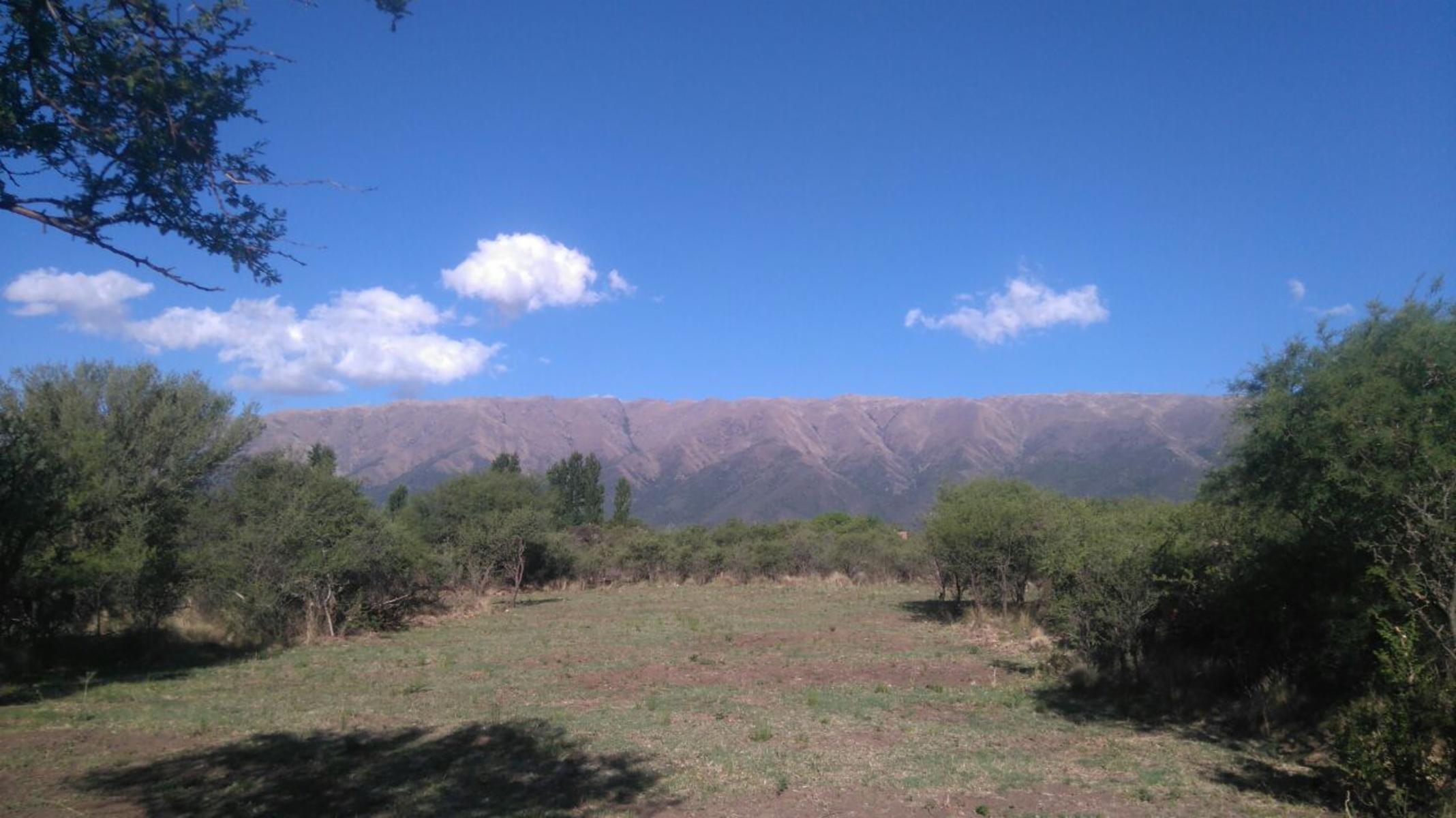 EXCELENTE LOTEO A METROS DEL ACCESO A CARPINTERIA — foto 7