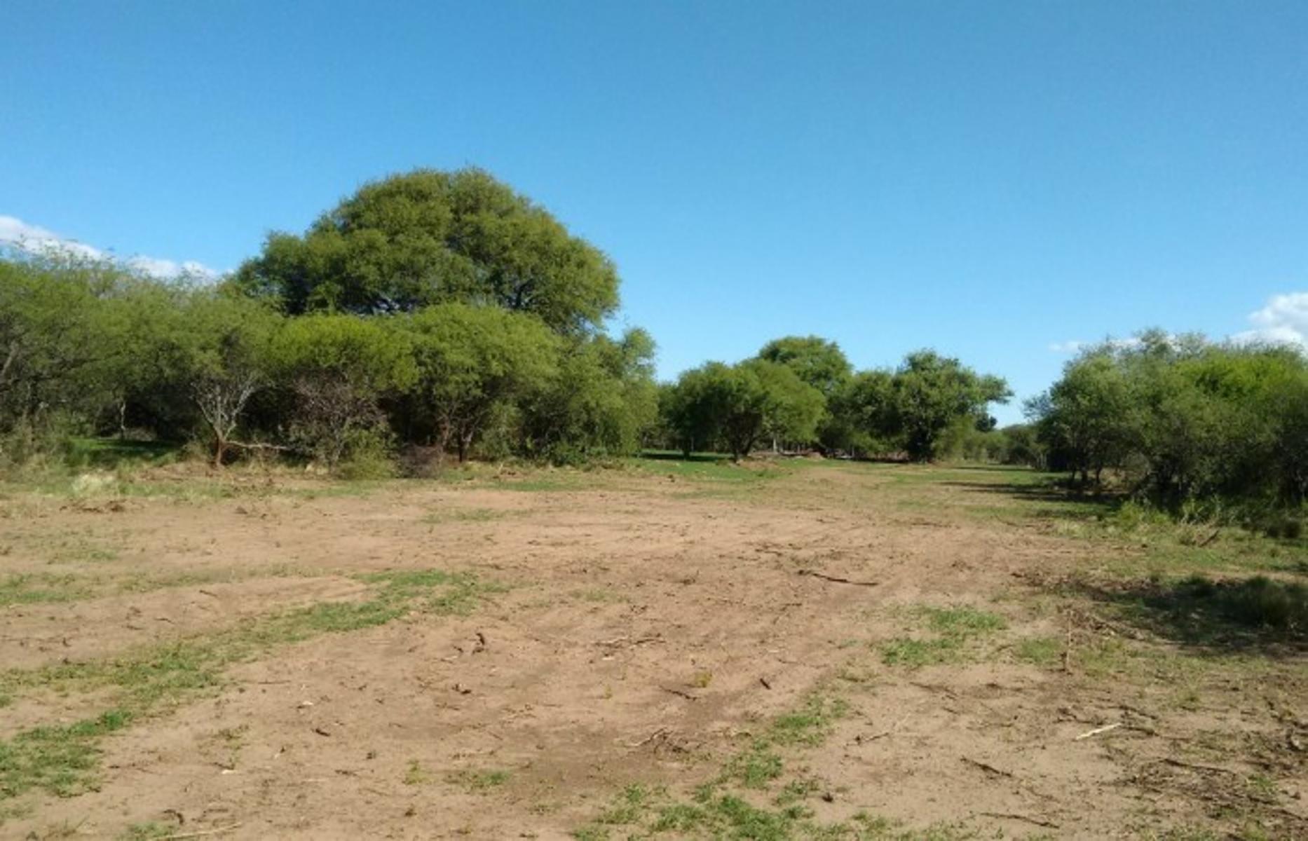 EXCELENTE LOTEO A METROS DEL ACCESO A CARPINTERIA — foto 11