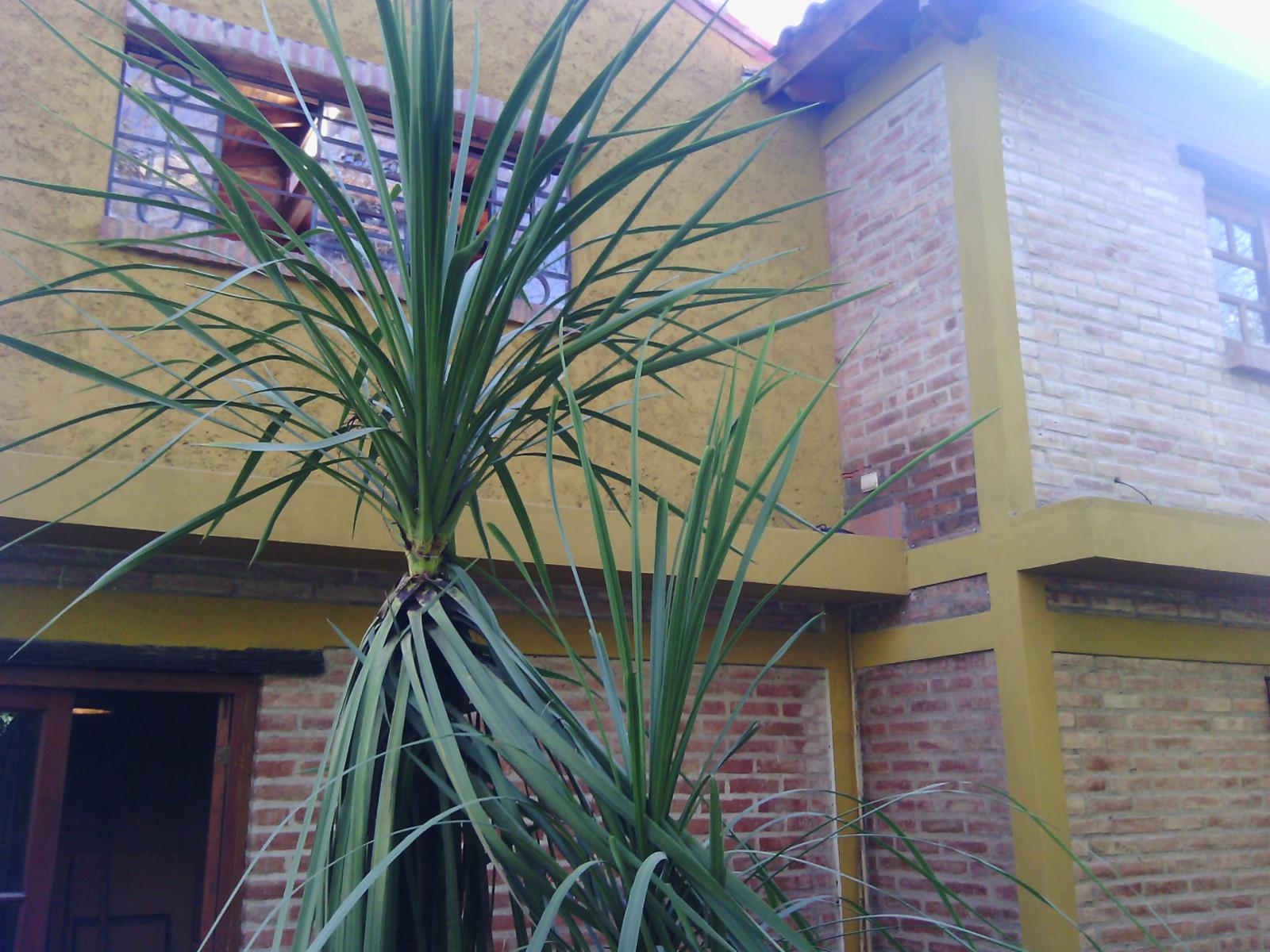 CHALET / Residencial - Piedra Blanca — foto 8