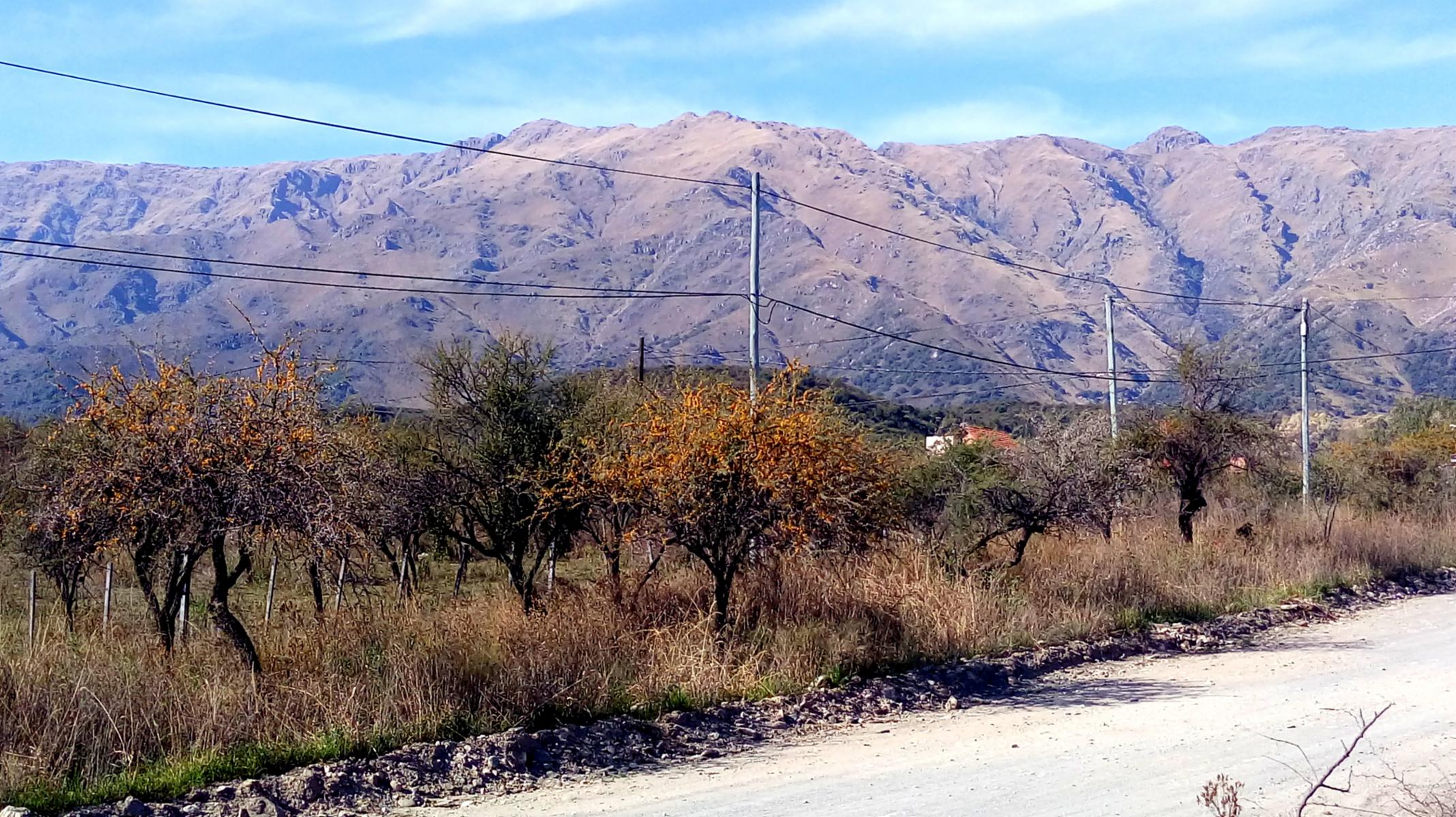 2 Lotes de 550 m2 MERLO SAN LUIS — foto 2