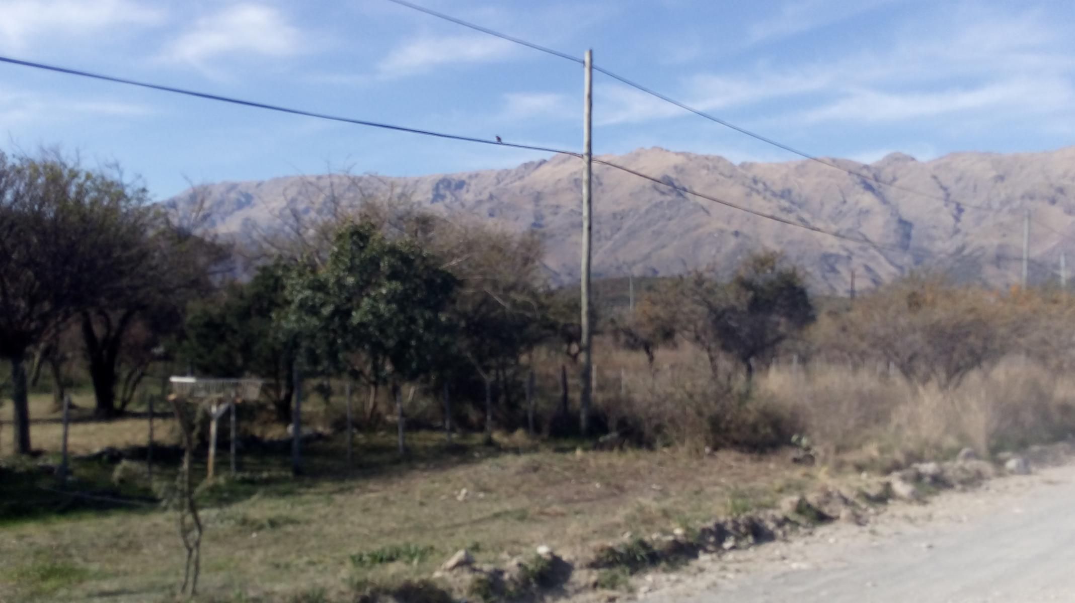2 Lotes de 550 m2 MERLO SAN LUIS — foto 4