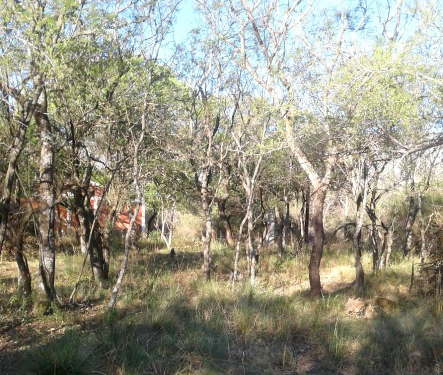 LOTE / Esquina / CRUZ DE CAÑA (cba) — foto 2