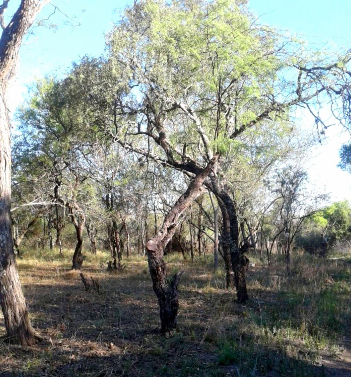 LOTE / Esquina / CRUZ DE CAÑA (cba) — foto 4