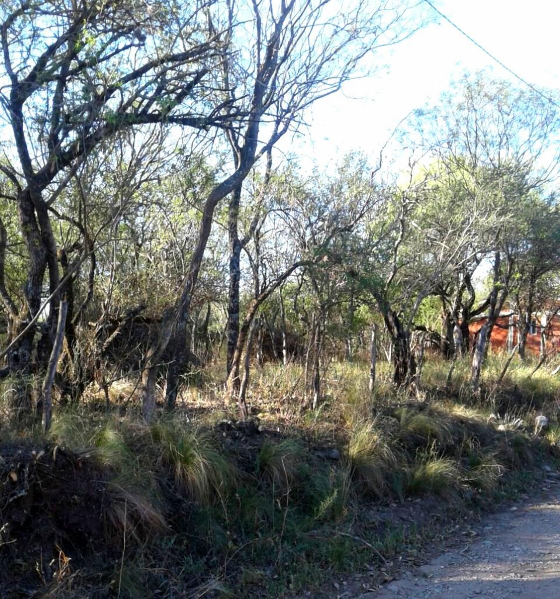 LOTE / Esquina / CRUZ DE CAÑA (cba) — foto 5