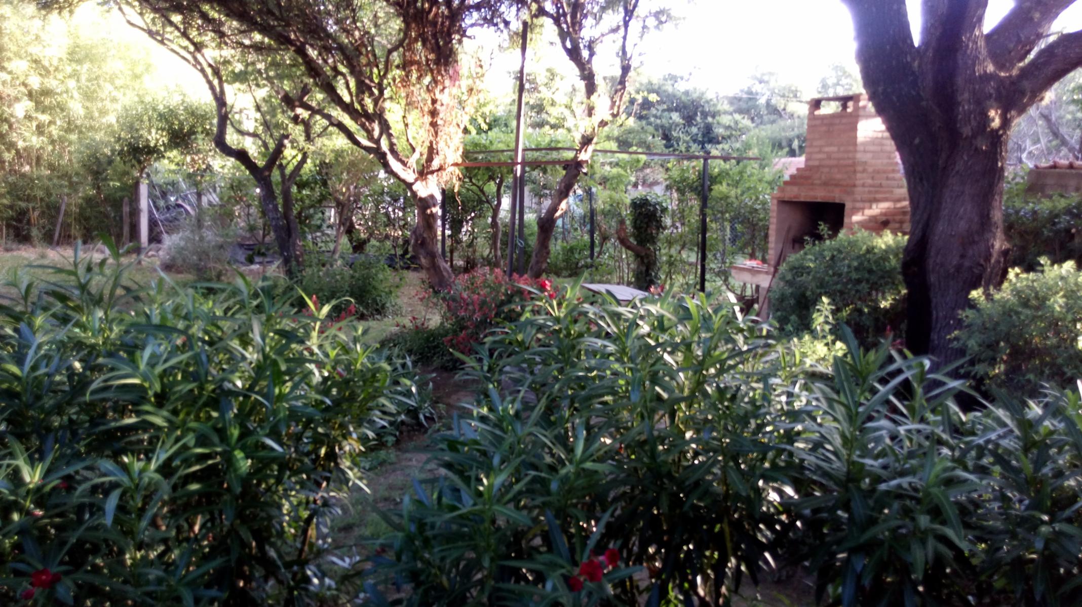 CHALET + CABAÑA / Piedra Blanca A° SL — foto 3