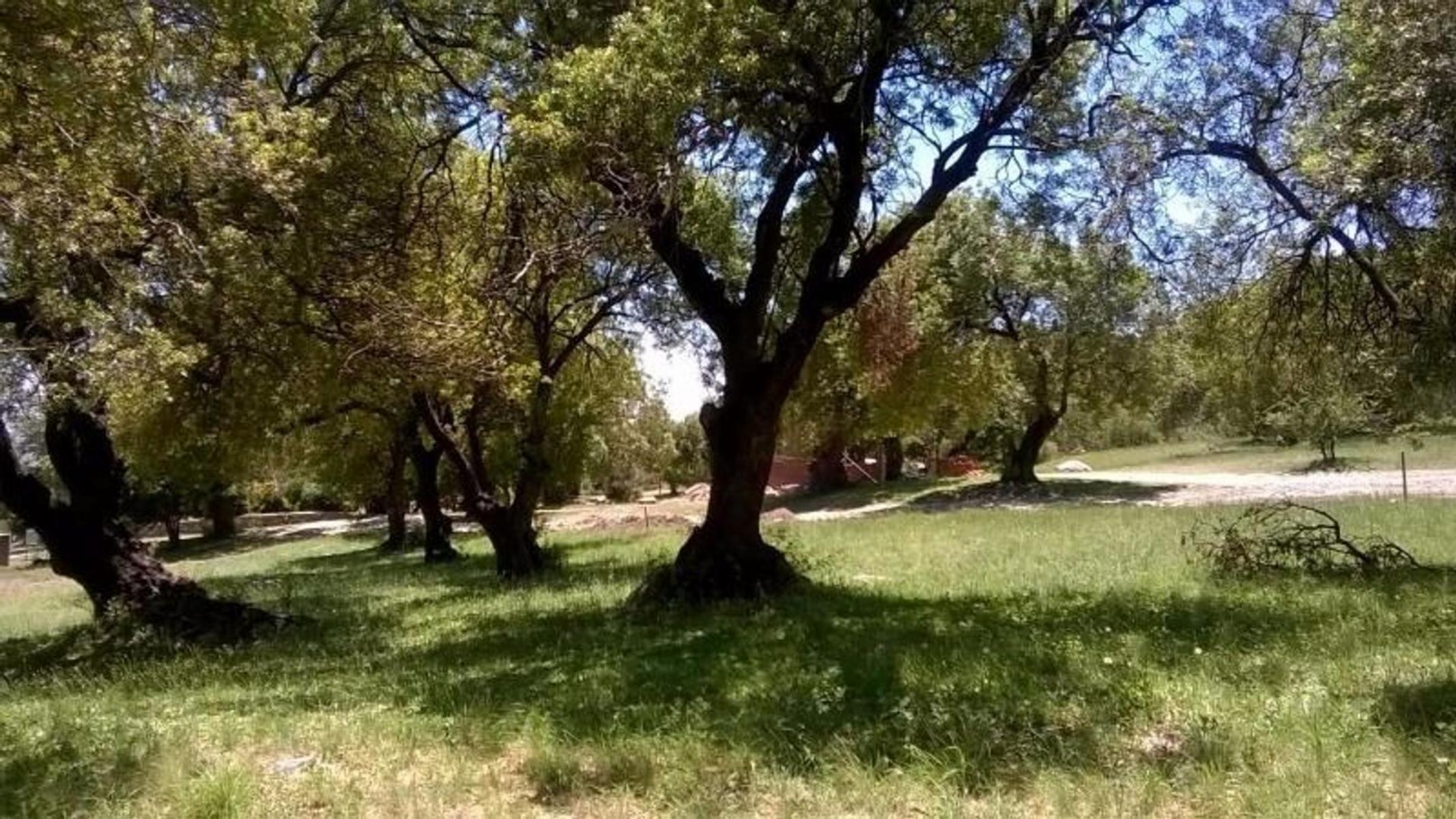 Se vende exclusivo lote en Chumamaya Country Club, con una superficie de 600 m2 — foto 2