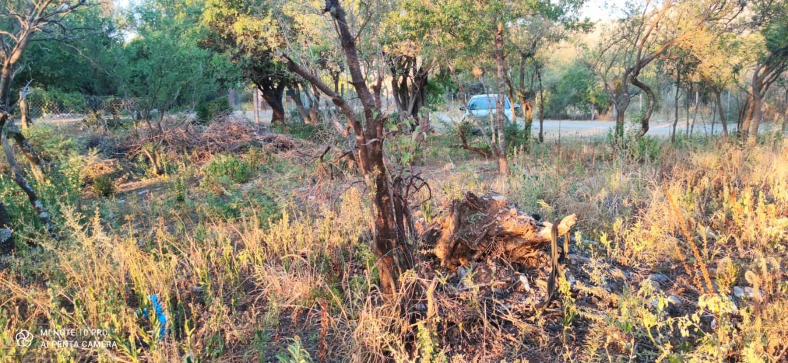 VENTA LOTE EN CARPINTERIA/ OPORTUNIDAD ÚNICA.