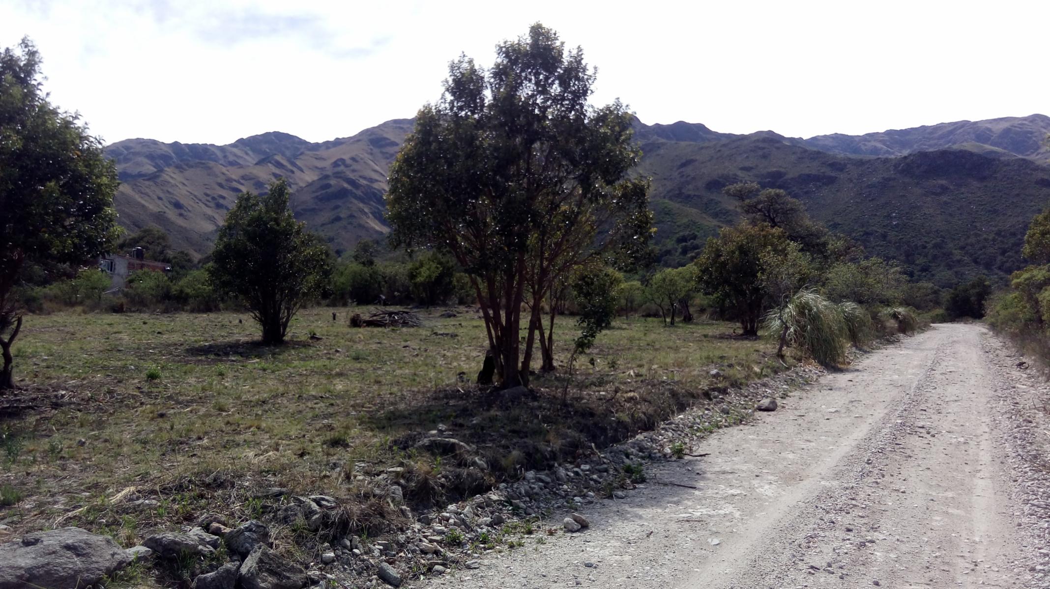 VENTA URGENTE OPORTUNIDAD&gt 3 Lotes en El Rincon / MERLO / SAN LUIS.
