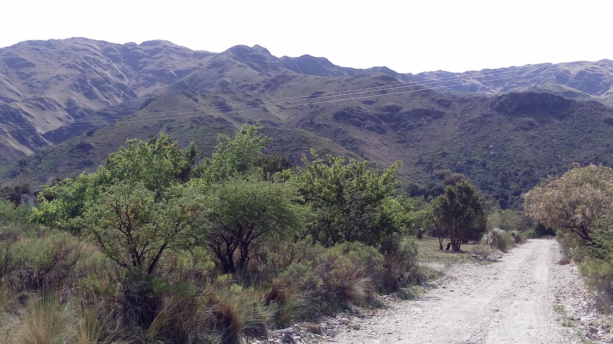 VENTA URGENTE OPORTUNIDAD&gt 3 Lotes en El Rincon / MERLO / SAN LUIS. — foto 4