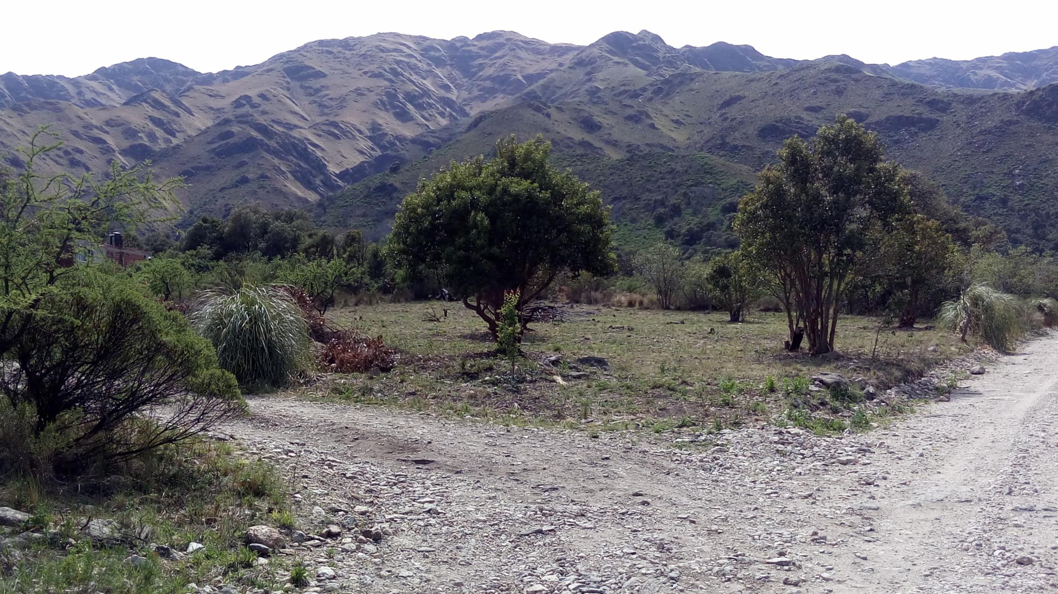 VENTA URGENTE OPORTUNIDAD&gt 3 Lotes en El Rincon / MERLO / SAN LUIS. — foto 6