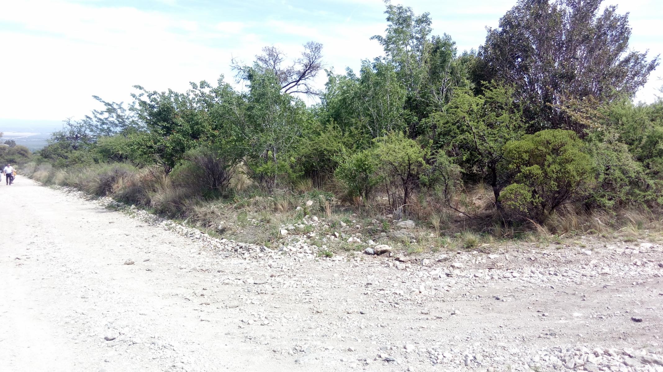 VENTA URGENTE OPORTUNIDAD&gt 3 Lotes en El Rincon / MERLO / SAN LUIS. — foto 7