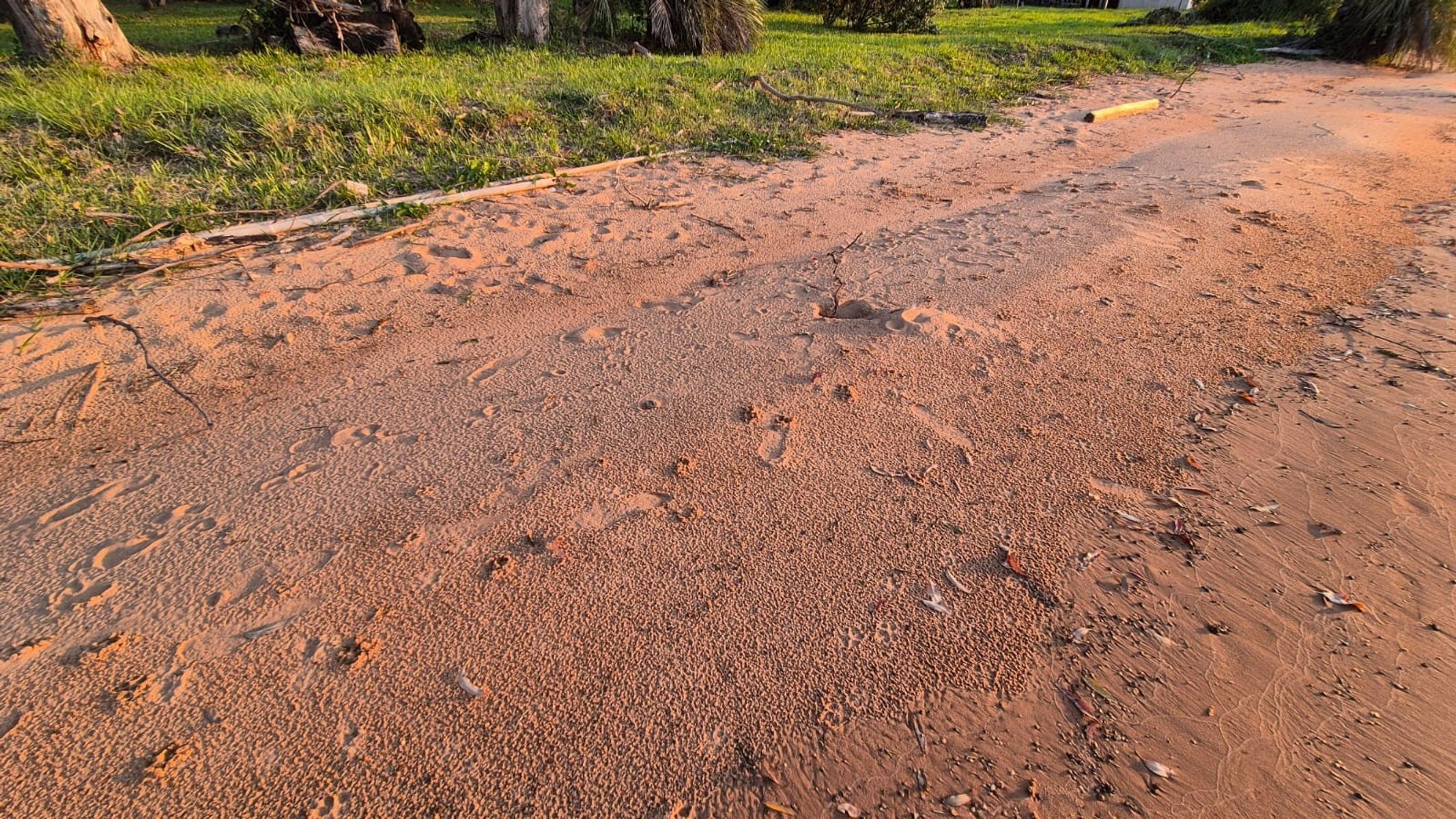 QUINTA NAÚTICA CON SALIDA AL RÍO PARANÁ, A SÓLO 35 MINUTOS DE LA CIUDAD DE POSADAS. — foto 3