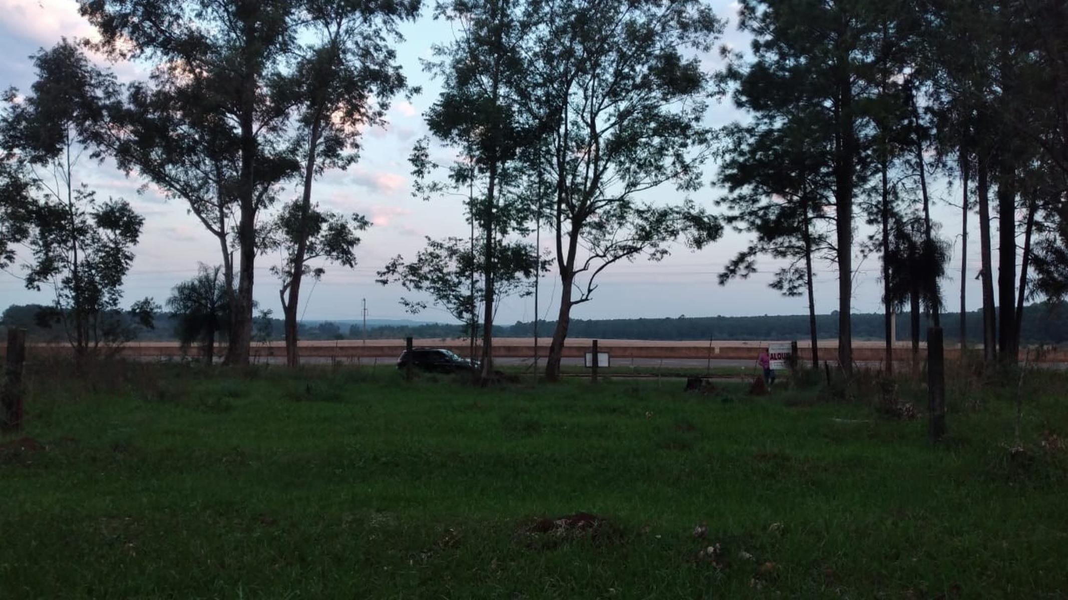 TERRENOS EN VENTA SOBRE RUTA N°12 A 1 KM DE CANDELARIA. OPORTUNIDAD