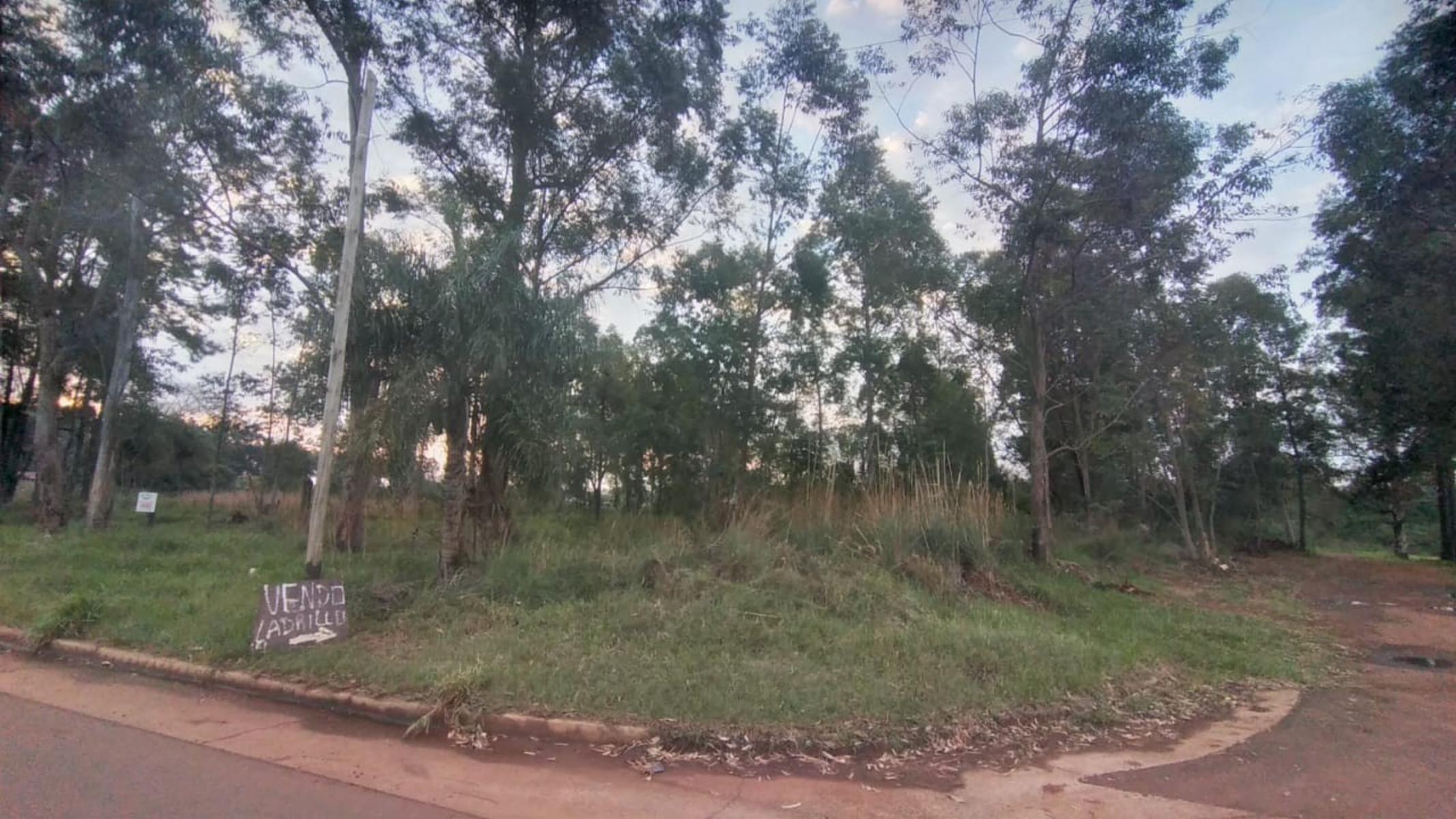 TERRENOS EN VENTA SOBRE RUTA N°12 A 1 KM DE CANDELARIA. OPORTUNIDAD — foto 2
