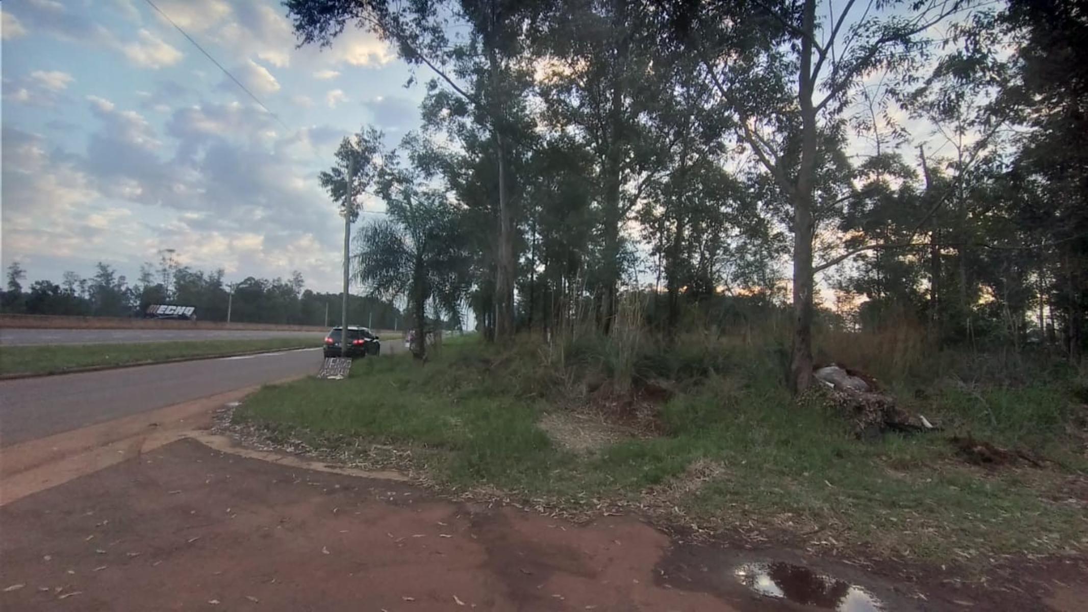TERRENOS EN VENTA SOBRE RUTA N°12 A 1 KM DE CANDELARIA. OPORTUNIDAD — foto 5
