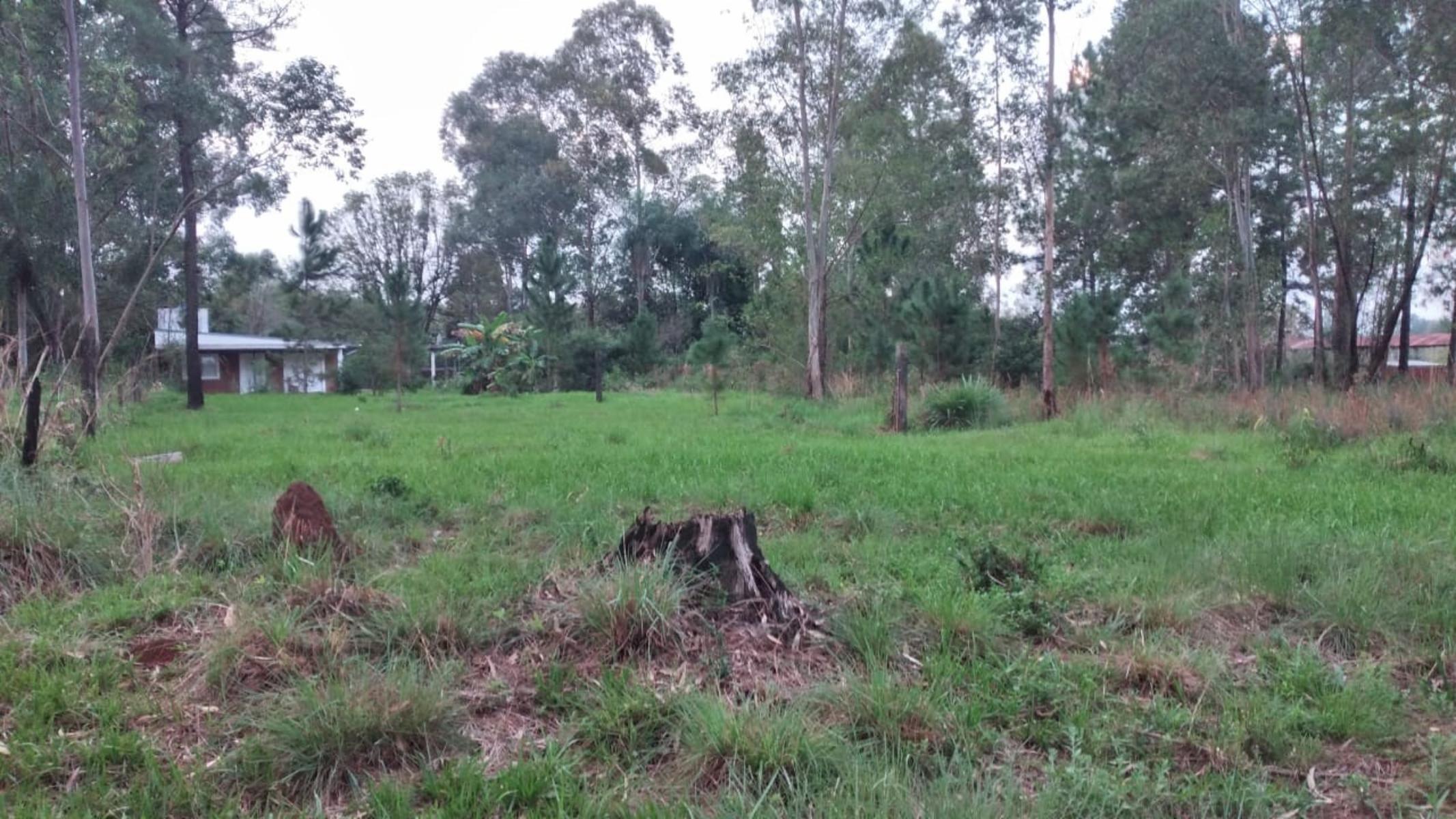TERRENOS EN VENTA SOBRE RUTA N°12 A 1 KM DE CANDELARIA. OPORTUNIDAD — foto 6
