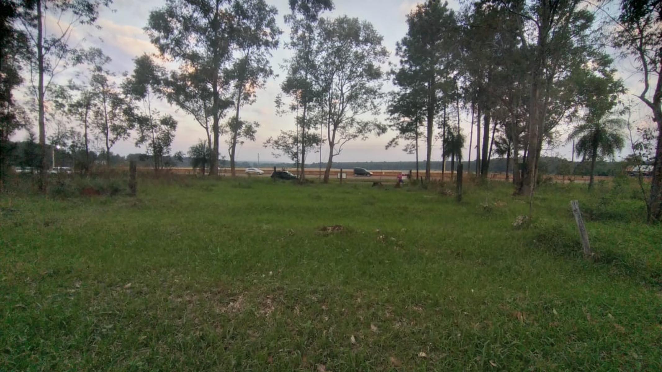TERRENOS EN VENTA SOBRE RUTA N°12 A 1 KM DE CANDELARIA. OPORTUNIDAD — foto 8