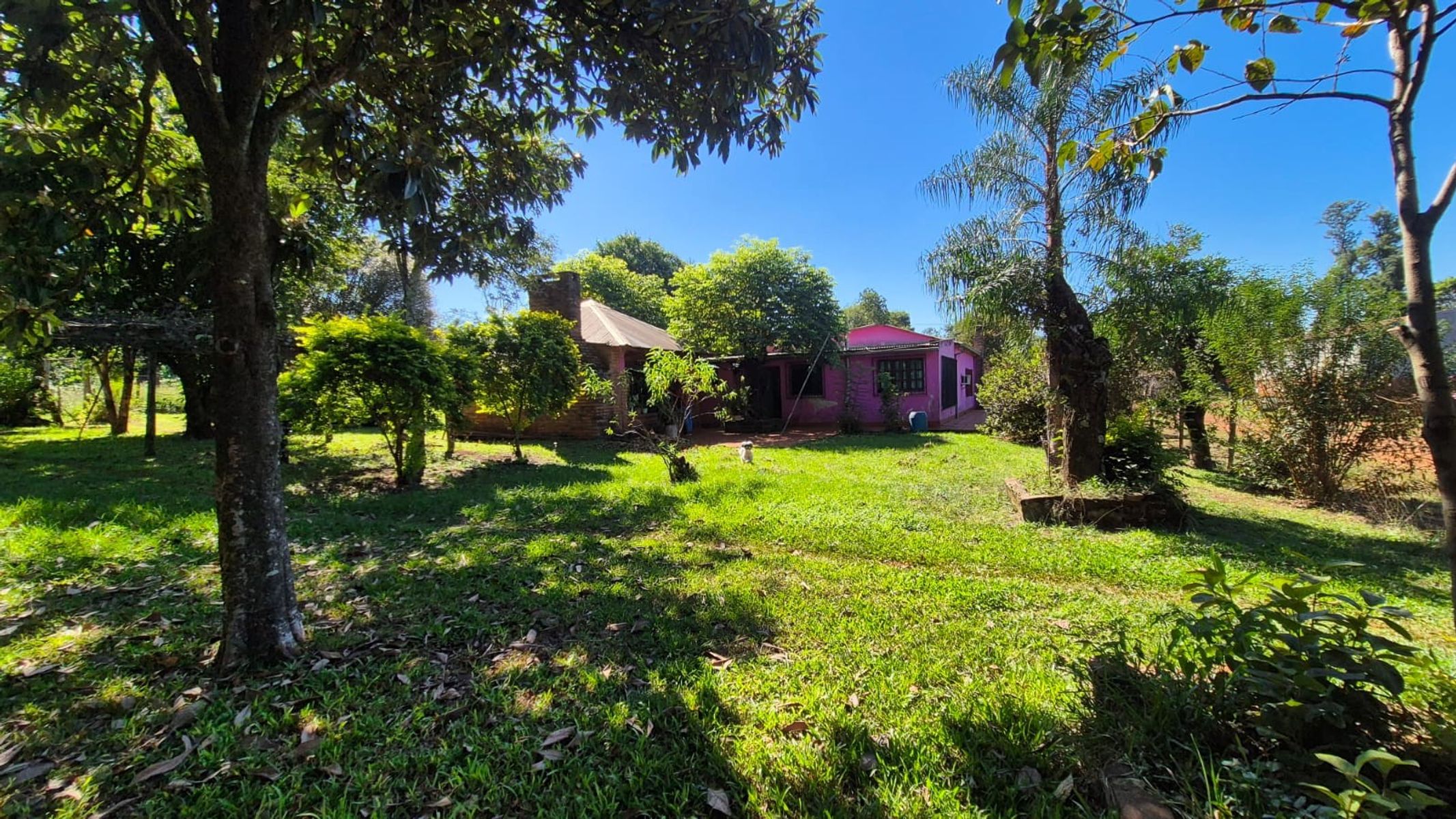 AMPLIA PROPIEDAD EN VENTA EN LA LOCALIDAD DE AZARA - MISIONES - 3