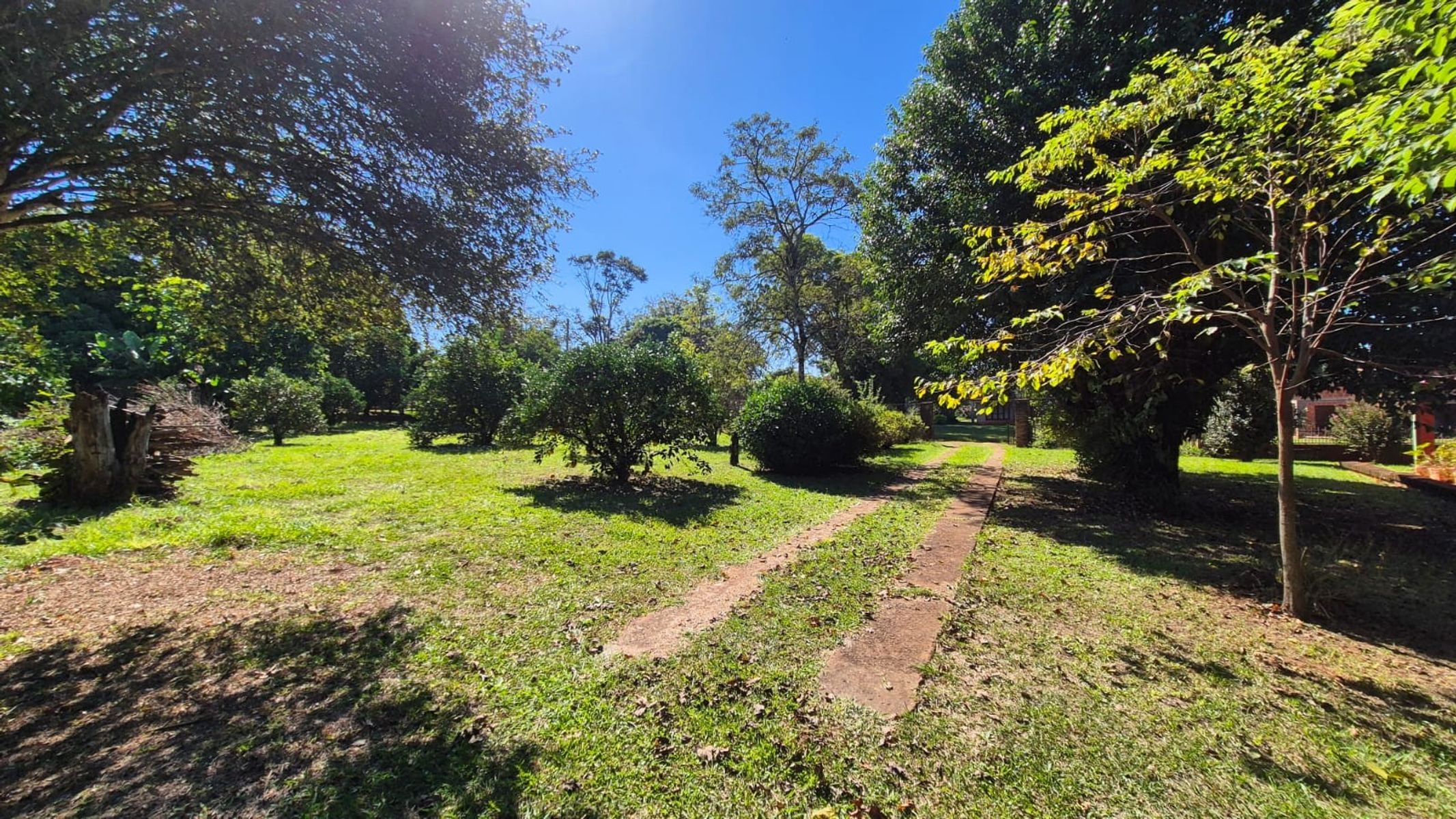 AMPLIA PROPIEDAD EN VENTA EN LA LOCALIDAD DE AZARA - MISIONES - 10