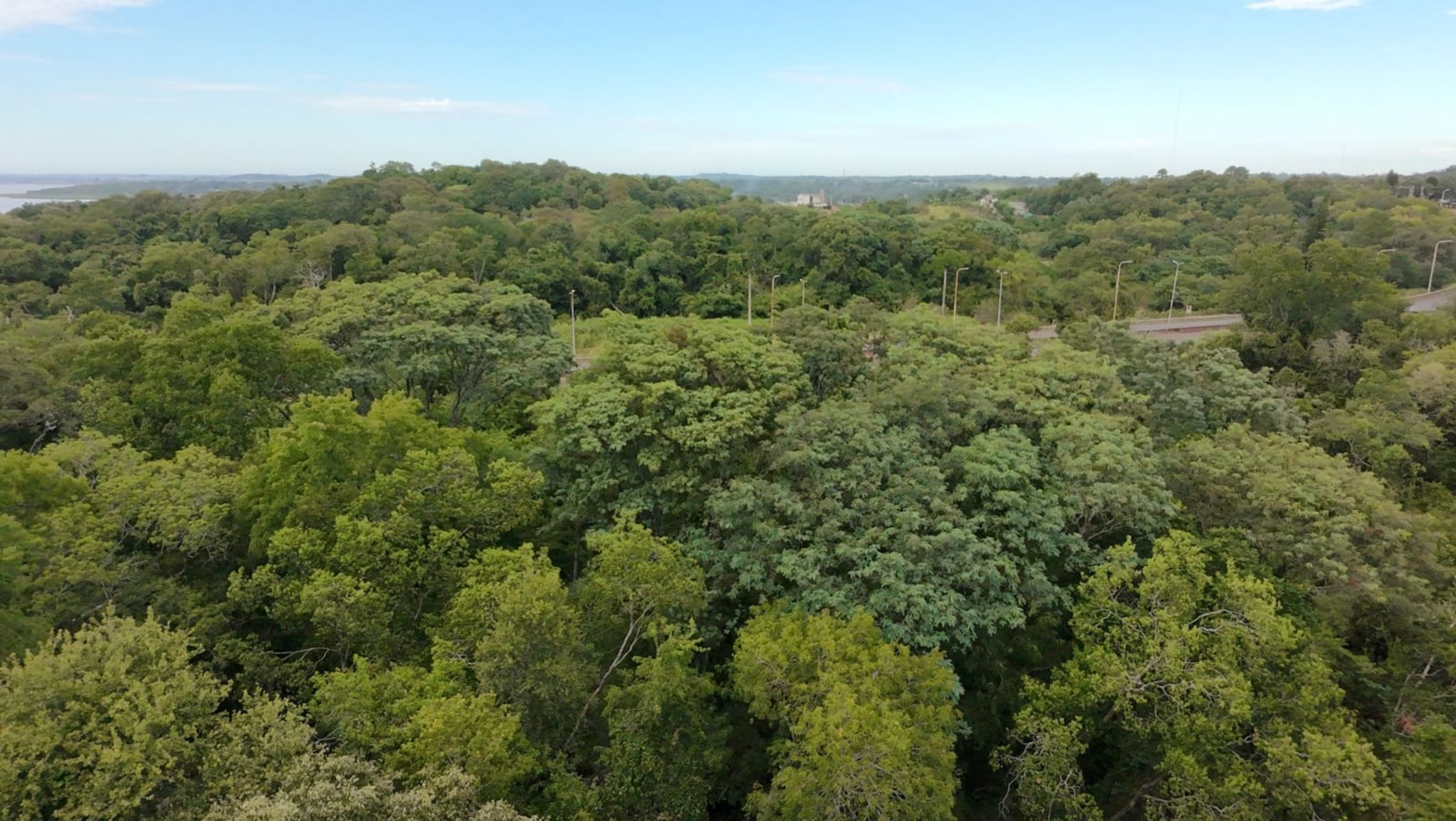1 HECTÁREA EN VENTA A MINUTOS DE POSADAS - 5