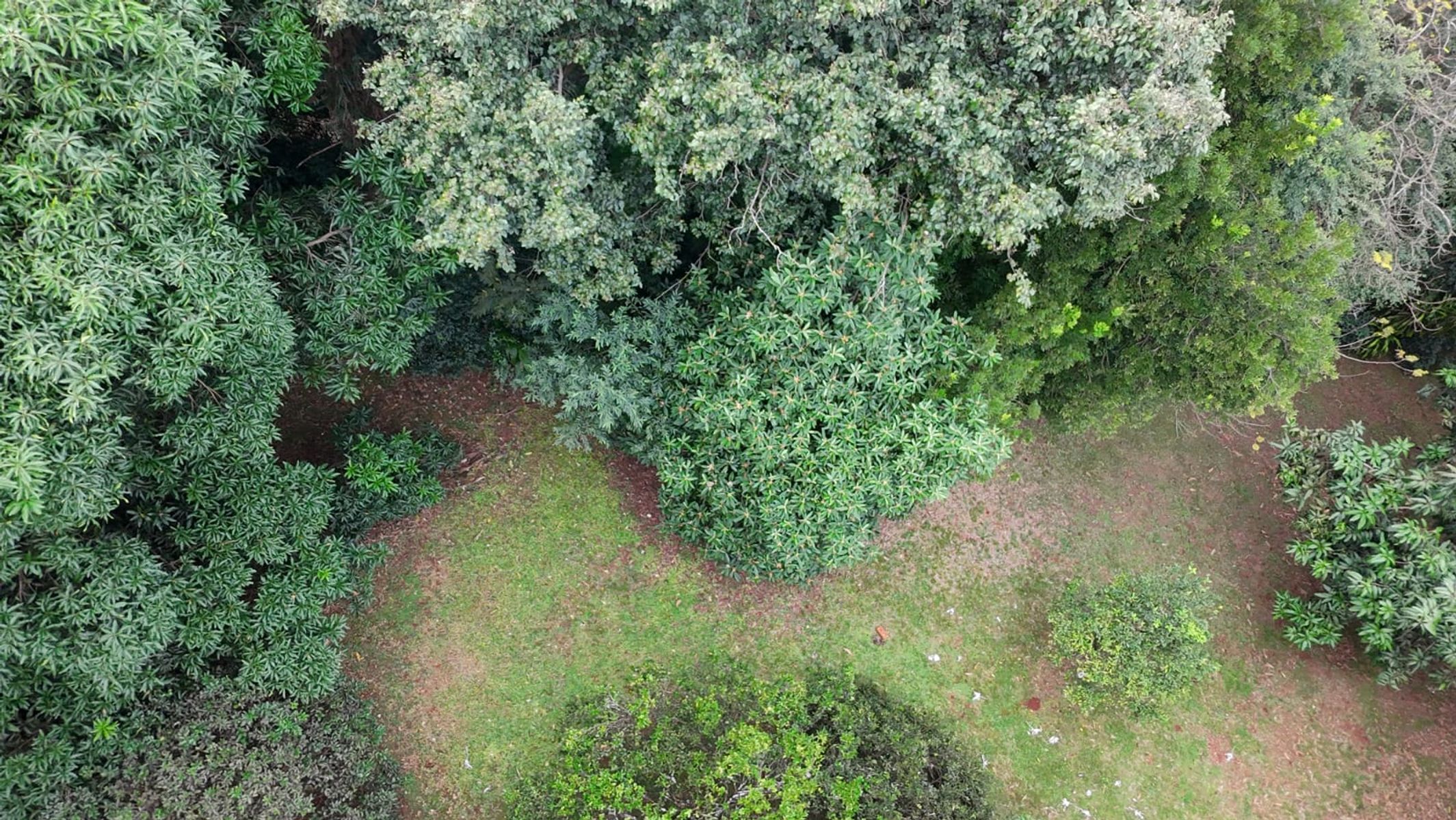 TERRENO EN VENTA EN LA CIUDAD DE POSADAS BARRIO EL YERBAL - 2
