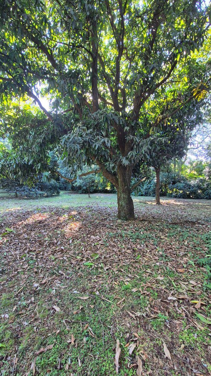 TERRENO EN VENTA EN LA CIUDAD DE POSADAS BARRIO EL YERBAL - 3
