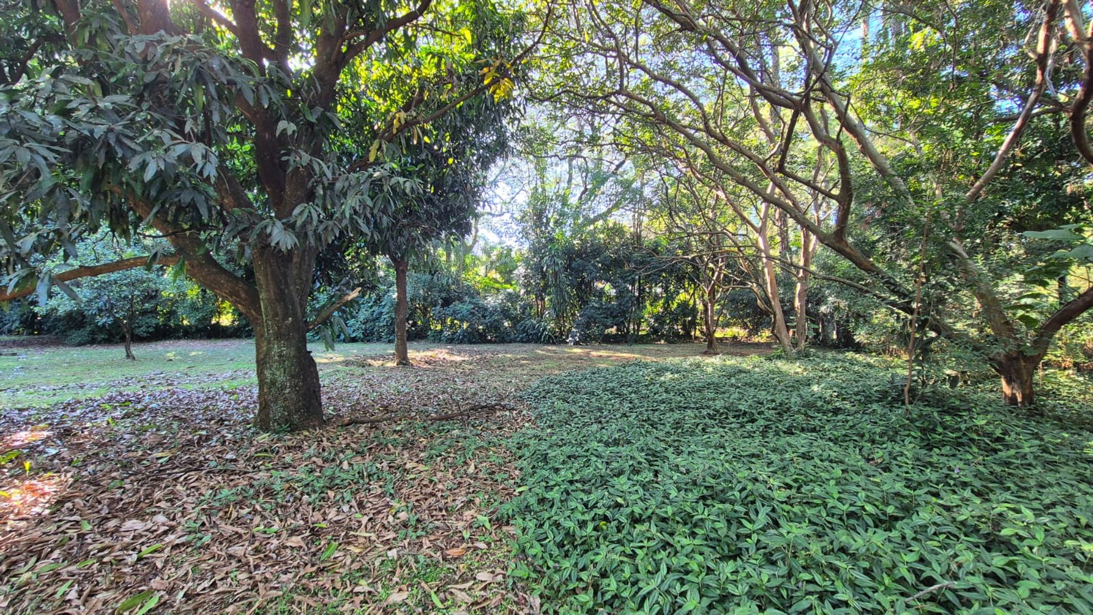 TERRENO EN VENTA EN LA CIUDAD DE POSADAS BARRIO EL YERBAL - 6