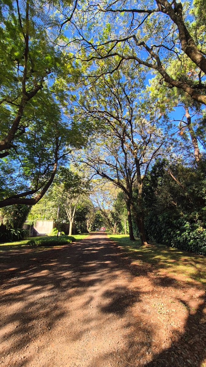 TERRENO EN VENTA EN LA CIUDAD DE POSADAS BARRIO EL YERBAL - 7