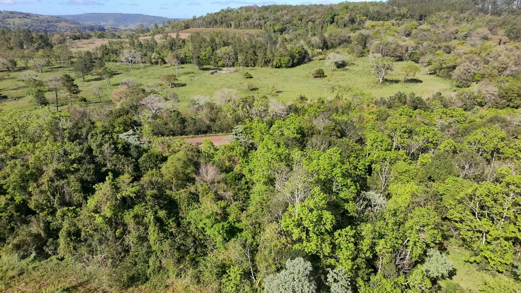 CAMPO DE 8 HECTÁREAS EN PANAMBÍ MISIONES A METROS DE LA RUTA 2 - 5