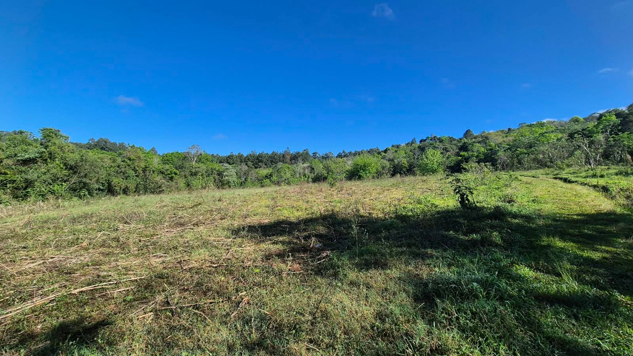 CAMPO DE 8 HECTÁREAS EN PANAMBÍ MISIONES A METROS DE LA RUTA 2 - 14