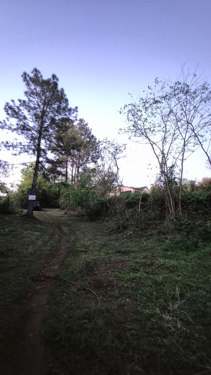 CASA QUINTA DE 3 HECTÁREAS Y MEDIA APROX EN VENTA — foto 8
