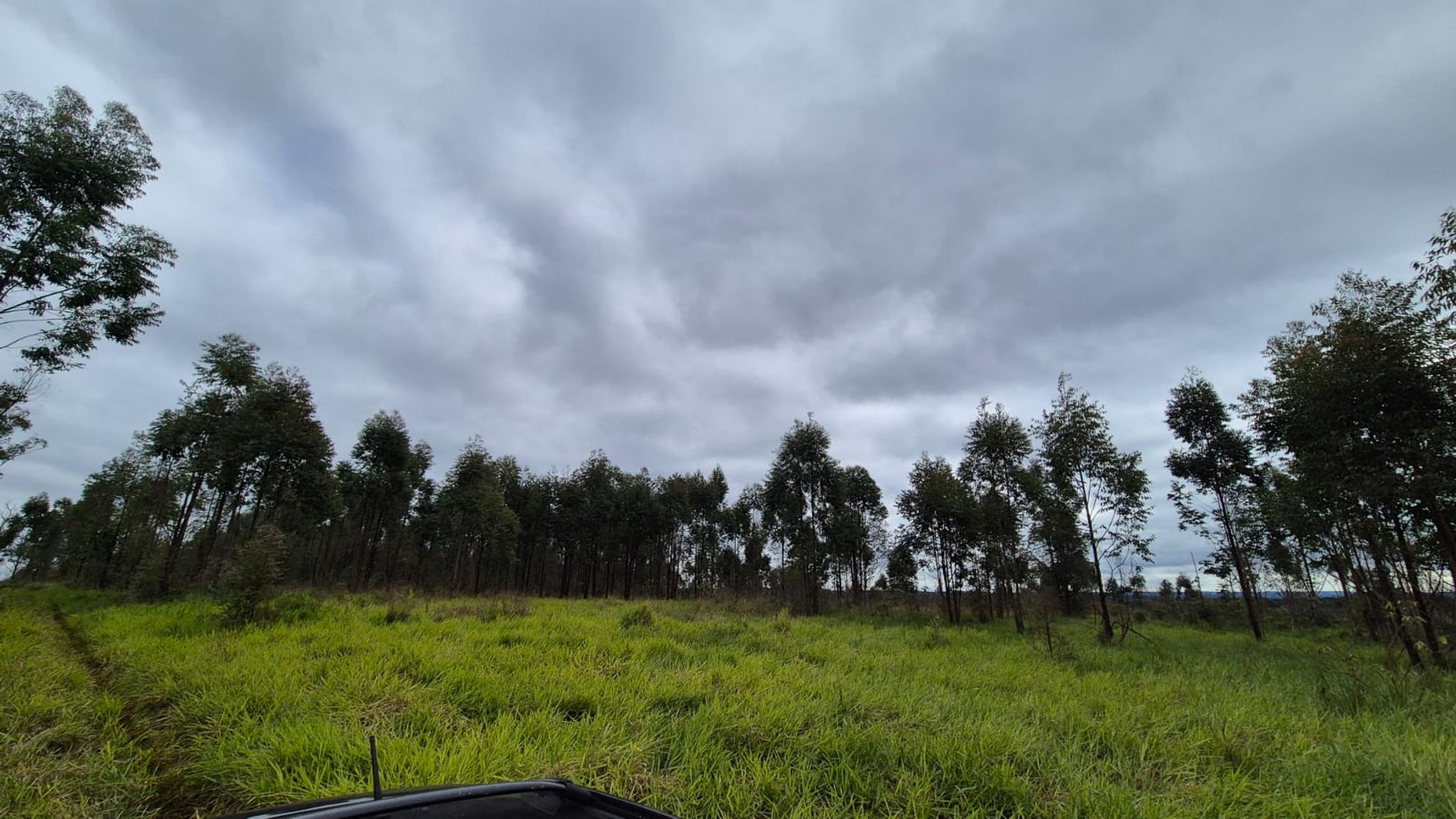 CAMPO EN VENTA EN GOBERNADOR ROCA MISIONES - 70 HECTÁREAS A METROS DE RUTA N°12 - 2