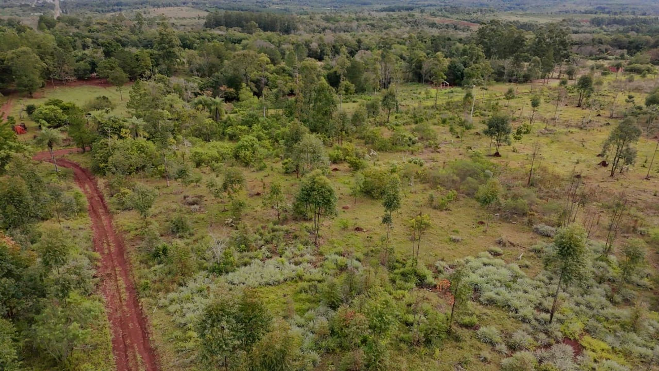 CAMPO EN VENTA EN GOBERNADOR ROCA MISIONES - 70 HECTÁREAS A METROS DE RUTA N°12 - 7