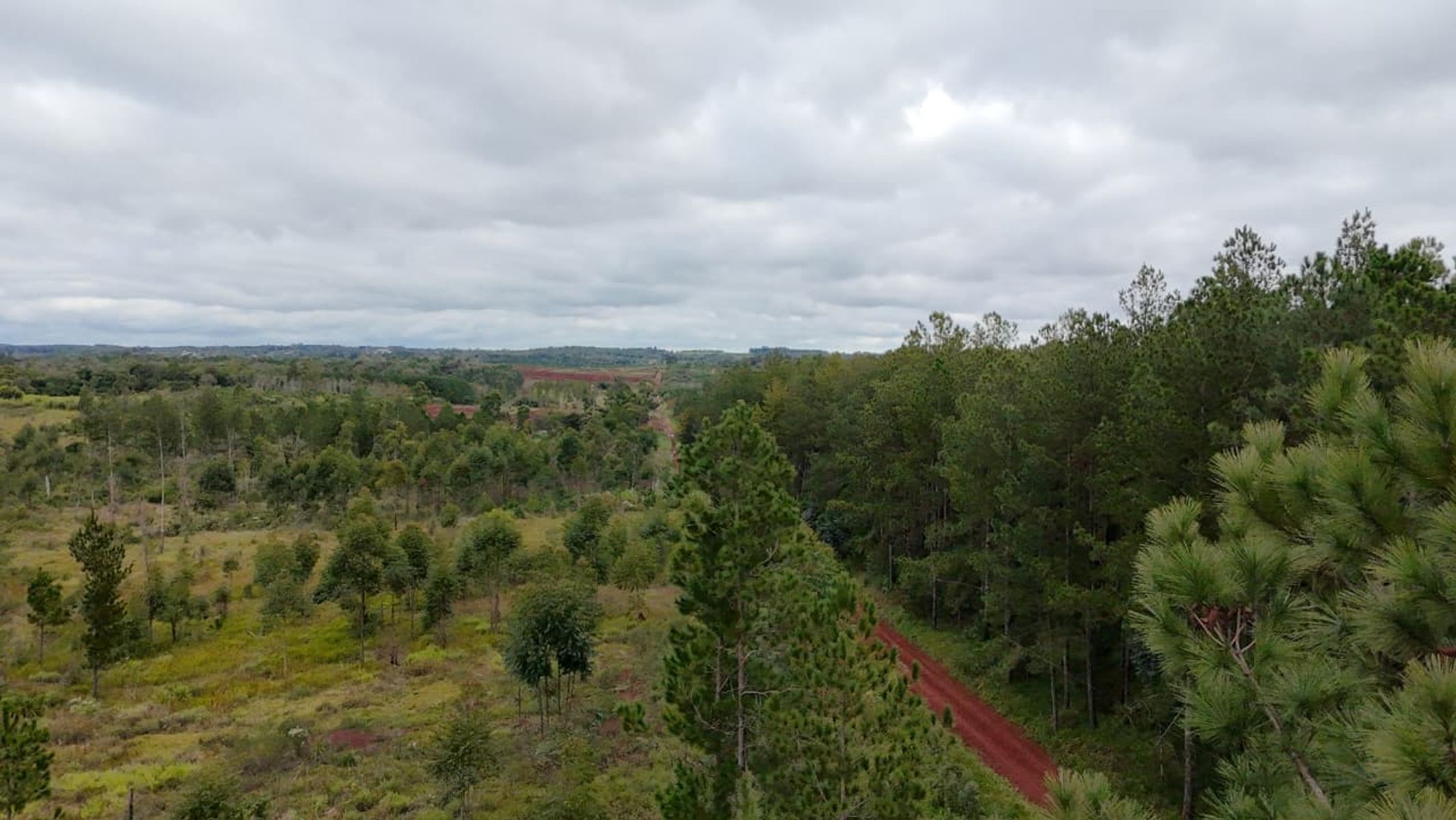 CAMPO EN VENTA EN GOBERNADOR ROCA MISIONES - 70 HECTÁREAS A METROS DE RUTA N°12 - 8