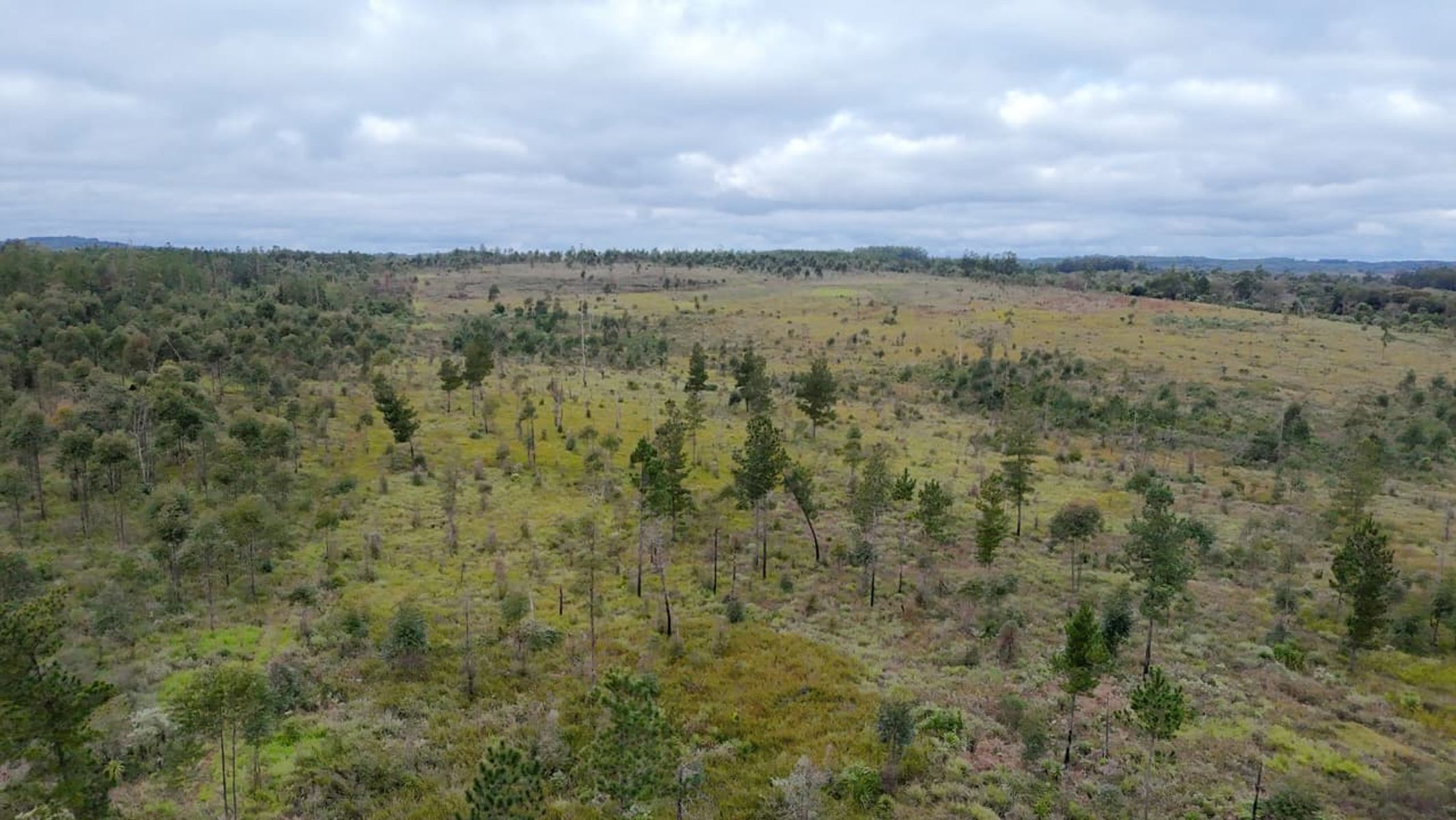 CAMPO EN VENTA EN GOBERNADOR ROCA MISIONES - 70 HECTÁREAS A METROS DE RUTA N°12 - 9