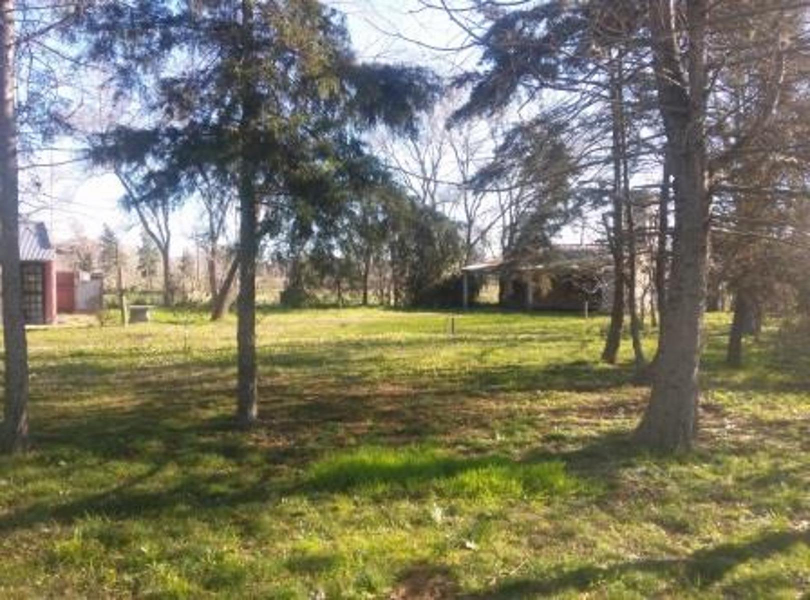 Chalet De 2 Amb. Con 672 M² De Parque! - (ref.2115) — foto 10