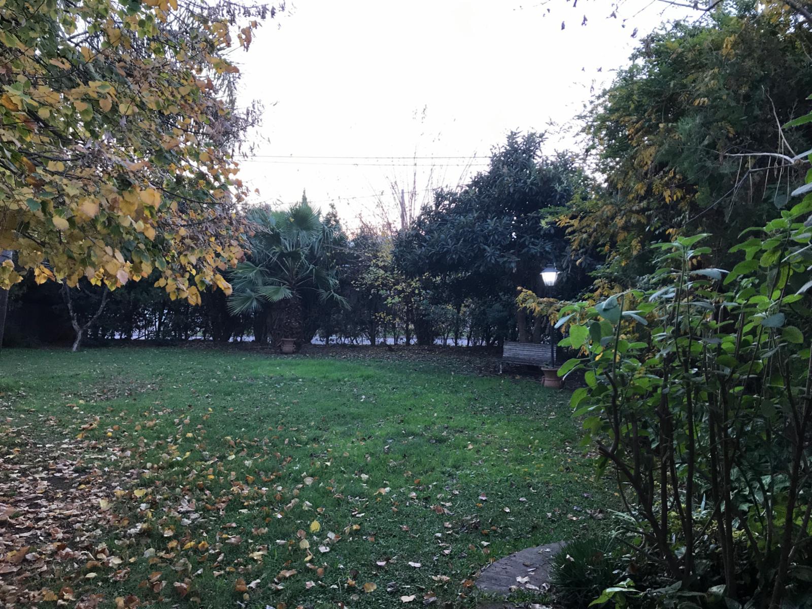 Casa 5 Amb. En Venta 680 m2 a Mts. de Av. Ratti - Ituzaingo Norte — foto 11