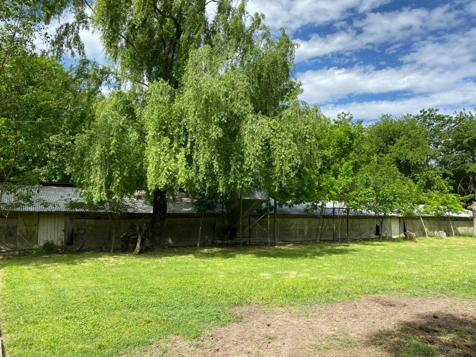 Granja En Venta sobre Predio 2 Hectáreas - Marcos Paz - 3