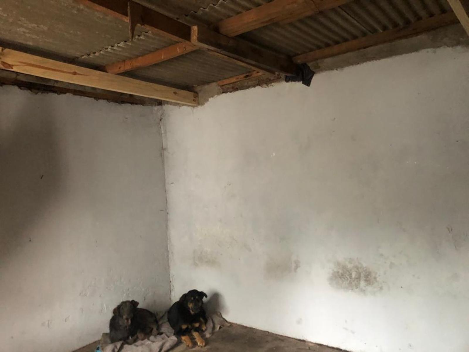 Casa en venta 3 amb. a metros de Av. Padre Fahy - Moreno — foto 4