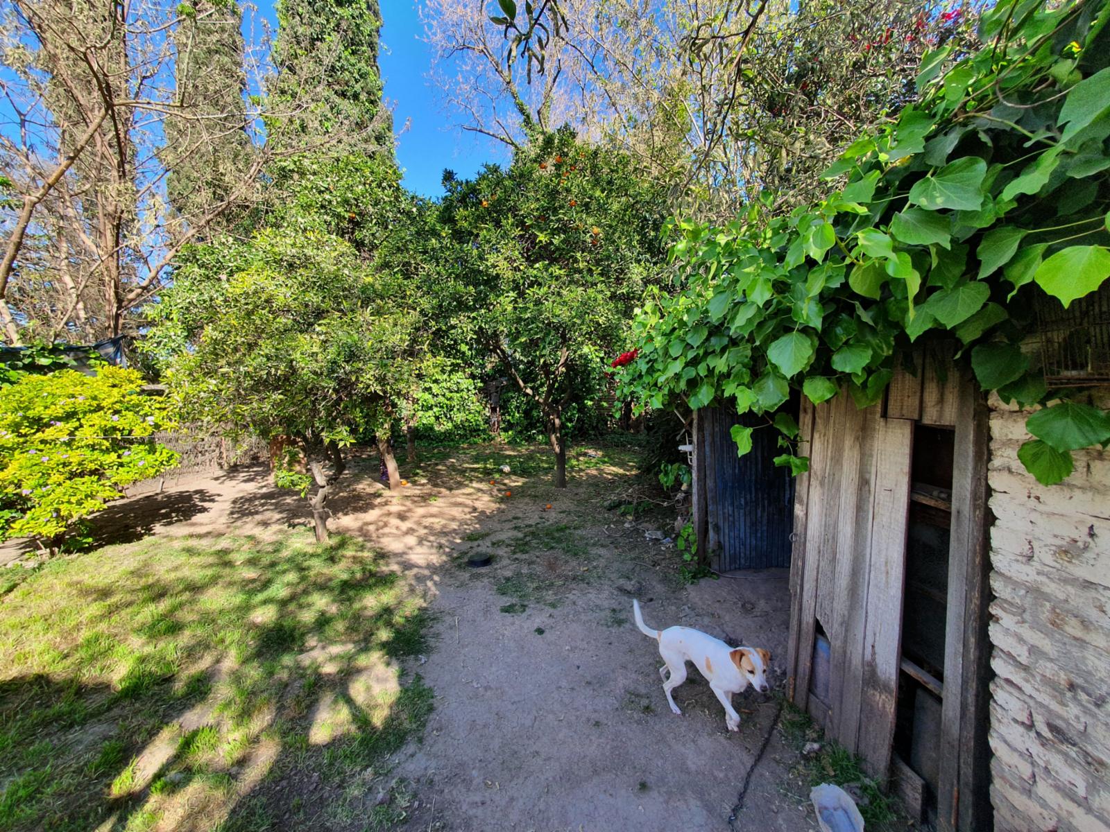 Casa 4 amb. y depto en venta - Moreno — foto 6