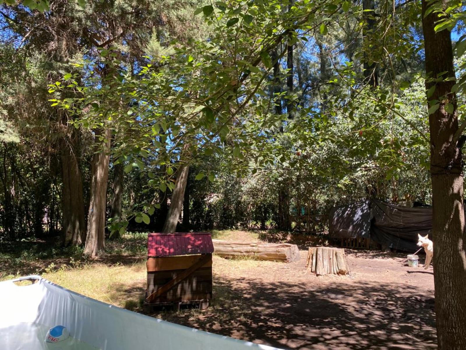 Casa 3 Ambientes En Venta - Francisco Alvarez, Moreno — foto 8