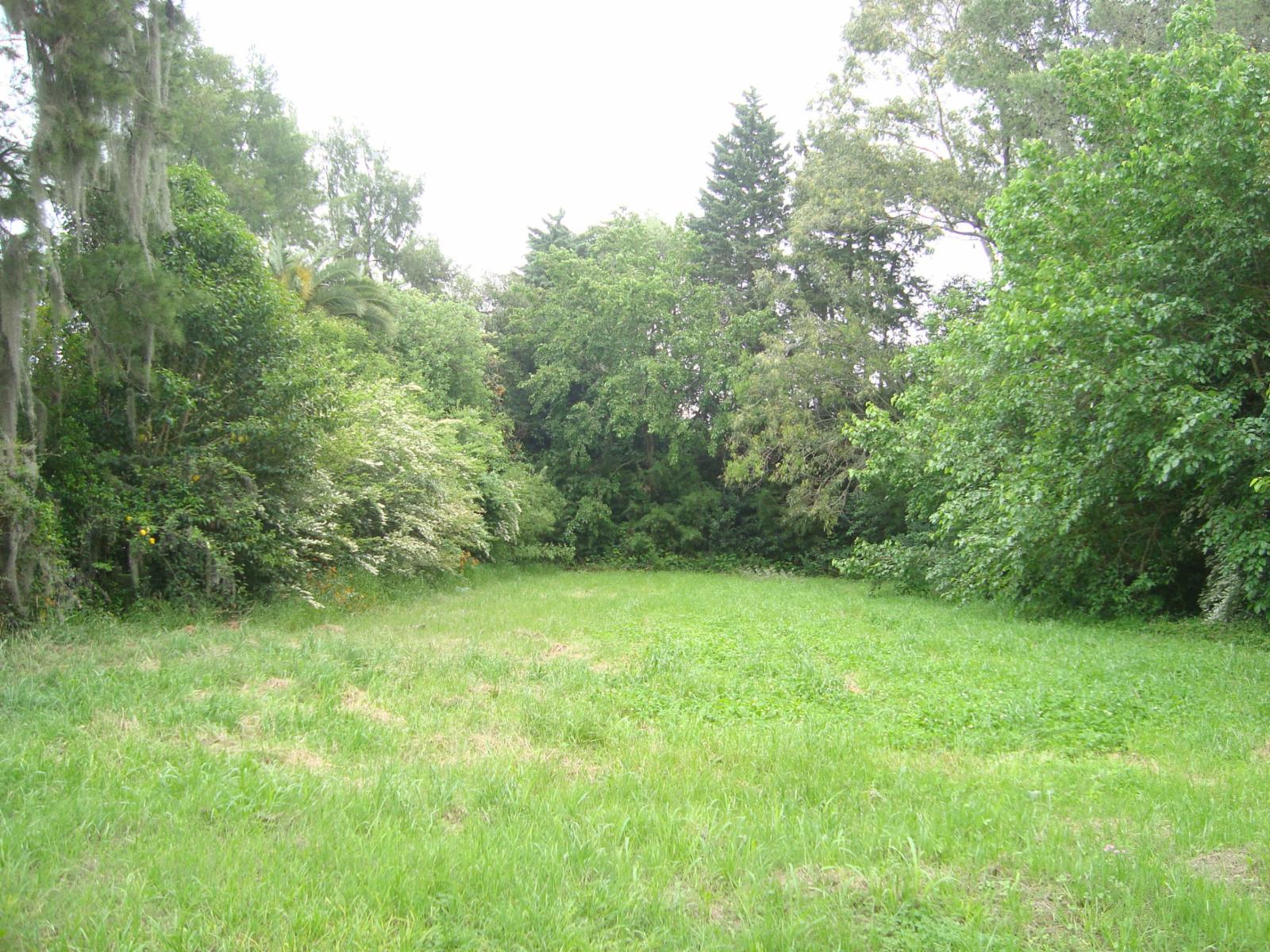 IMPORTANTE TERRENO EN LA MEJOR ZONA DE PUEBLO ESTHER — foto 2