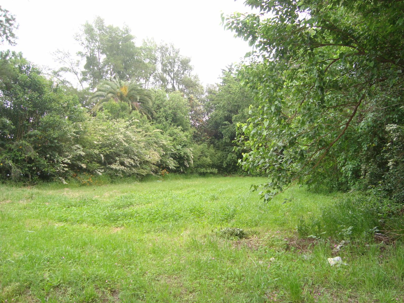 IMPORTANTE TERRENO EN LA MEJOR ZONA DE PUEBLO ESTHER — foto 4